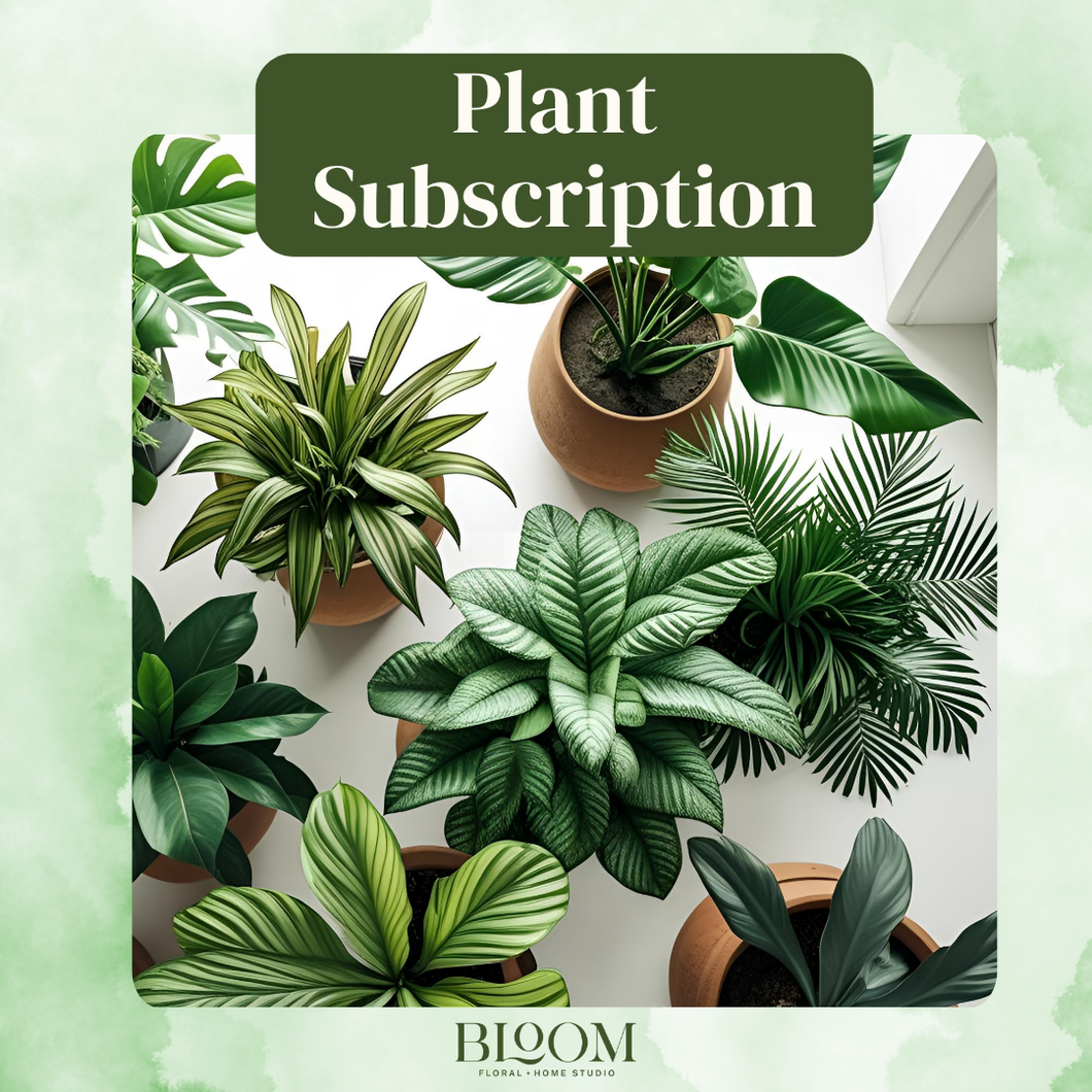 Plant Subscription