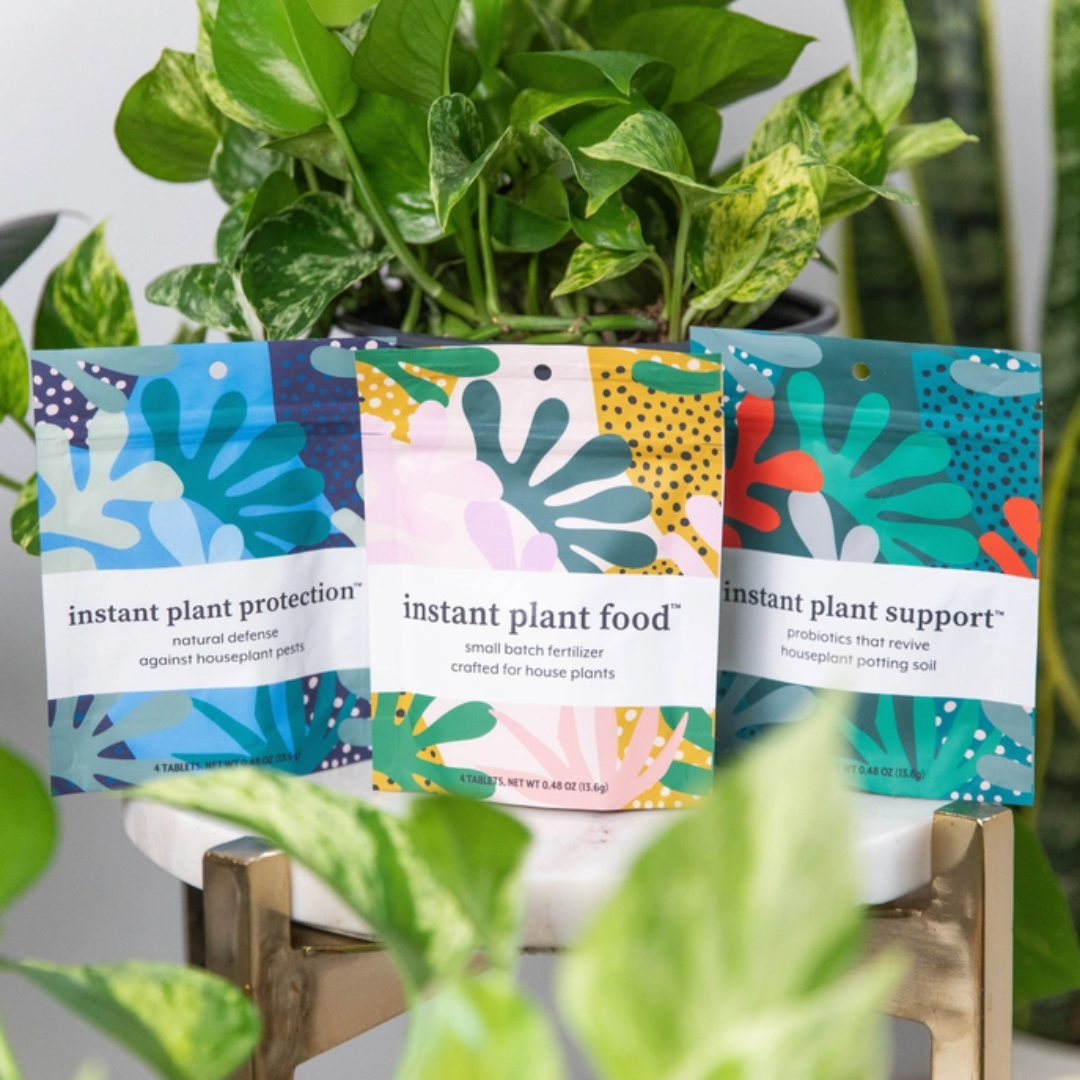 Plant Care: Grow - Heal