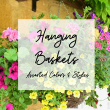 Load image into Gallery viewer, Hanging Basket
