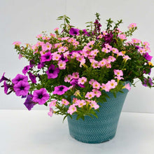 Load image into Gallery viewer, Outdoor Planter
