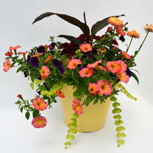 Load image into Gallery viewer, Outdoor Planter
