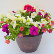 Load image into Gallery viewer, Outdoor Planter

