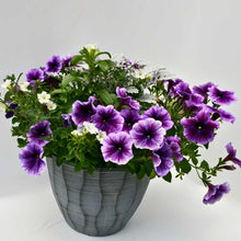 Load image into Gallery viewer, Outdoor Planter
