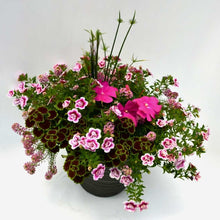 Load image into Gallery viewer, Outdoor Planter
