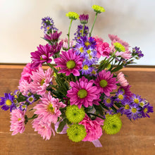 Load image into Gallery viewer, Daisy A Day
