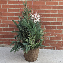 Load image into Gallery viewer, Winter Spruce Planter
