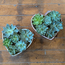 Load image into Gallery viewer, Succulent Heart Planter
