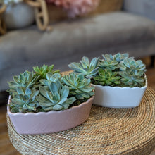 Load image into Gallery viewer, Succulent Heart Planter
