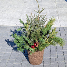 Load image into Gallery viewer, Winter Spruce Planter
