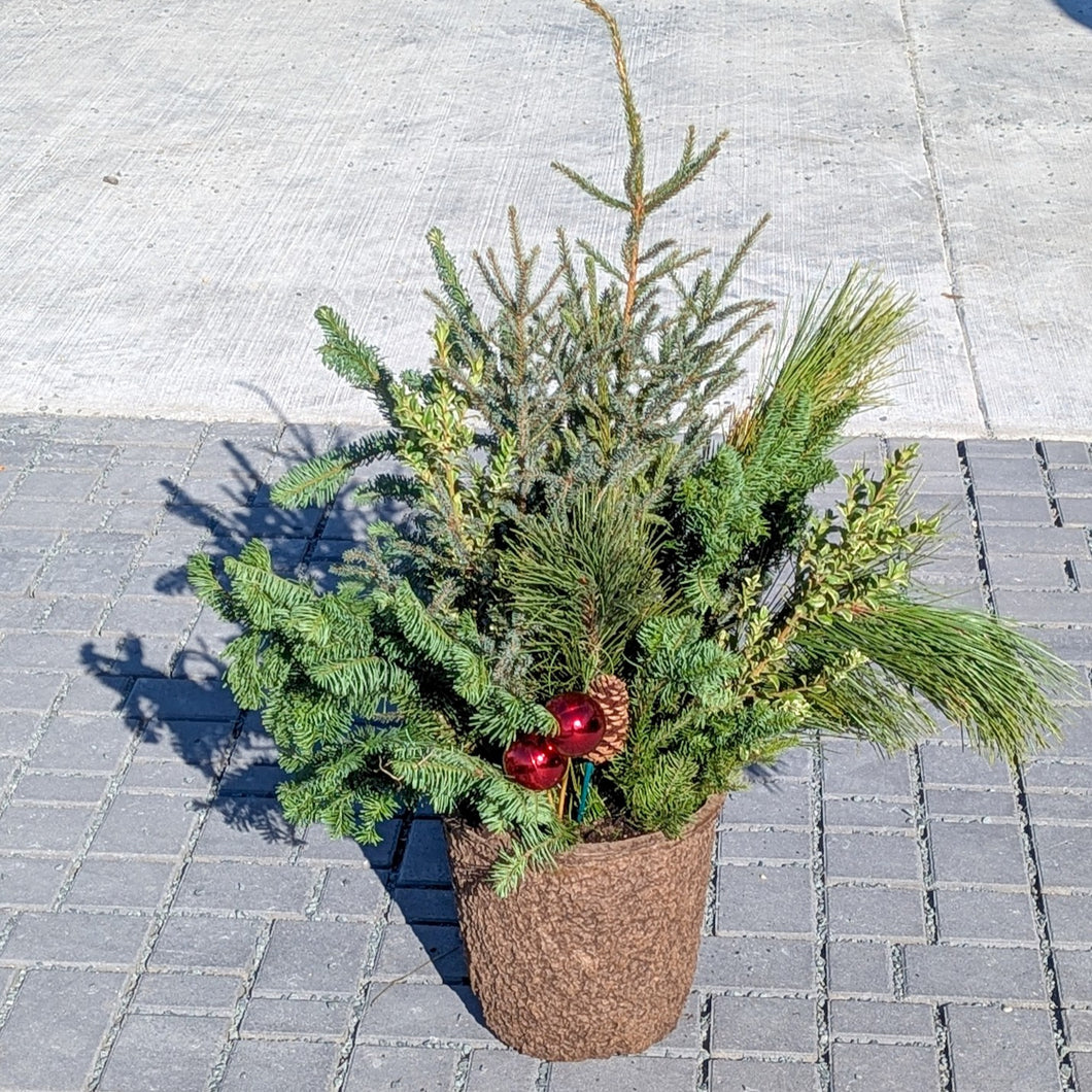 Winter Spruce Planter