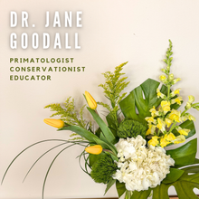 Load image into Gallery viewer, Dr. Jane Goodall
