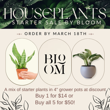 Load image into Gallery viewer, Houseplant Starter Sale
