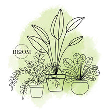 Load image into Gallery viewer, Plant Subscription
