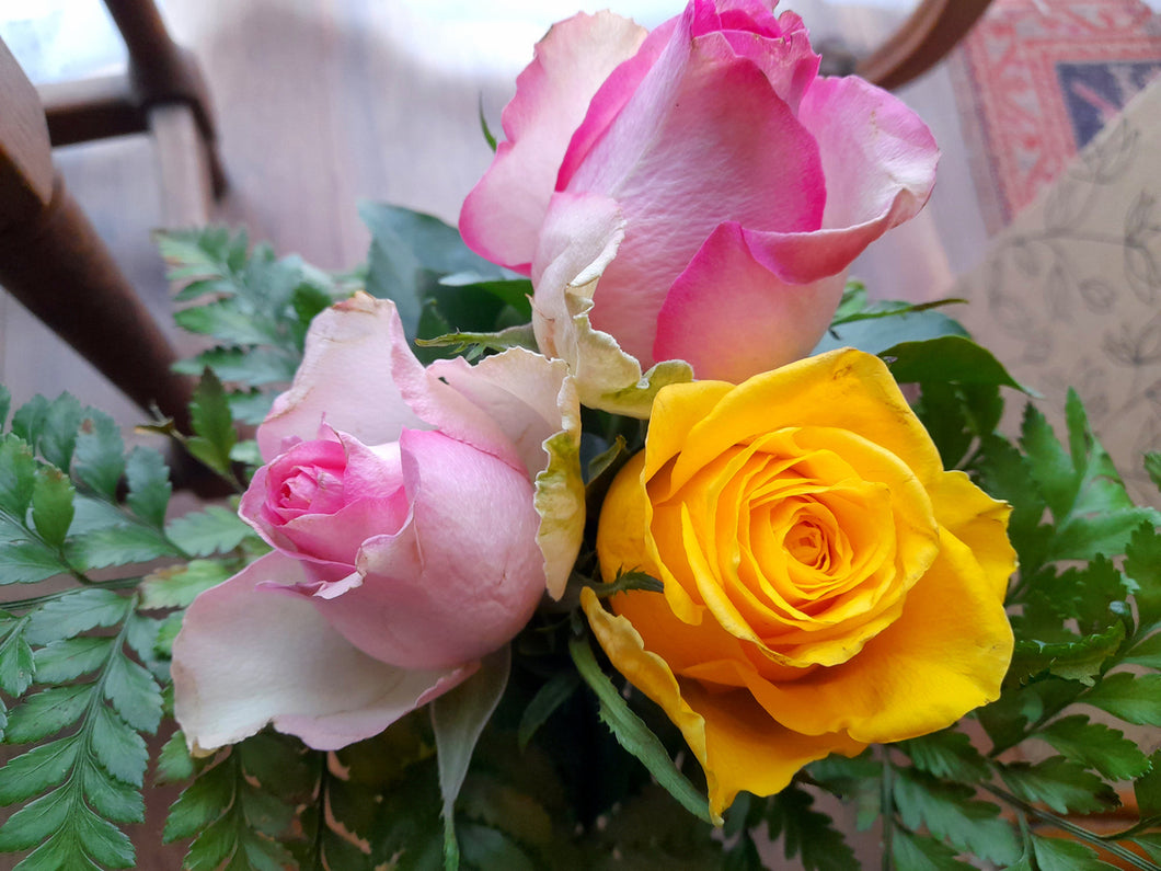 Wrapped Roses