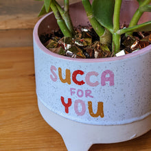 Load image into Gallery viewer, &quot;Sucker for You&quot; Succulent
