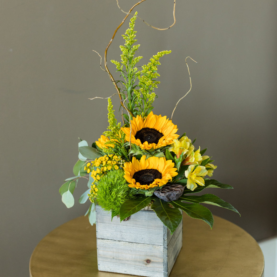 Sunflower Bounty Box